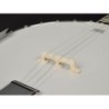 Banjo 4 c. Richwood caoba 24T 17 trastes