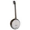 Banjo 6 cuerdas Richwood caoba 24T