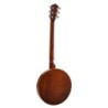 Banjo 6 cuerdas Richwood caoba 24T