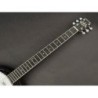 Banjo 6 cuerdas Richwood caoba 24T