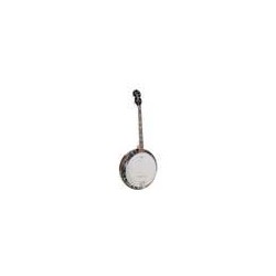 Banjo 4 c. Richwood aluminio 24T