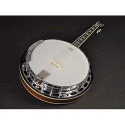 Banjo 4 c. Richwood aluminio 24T 17 trastes