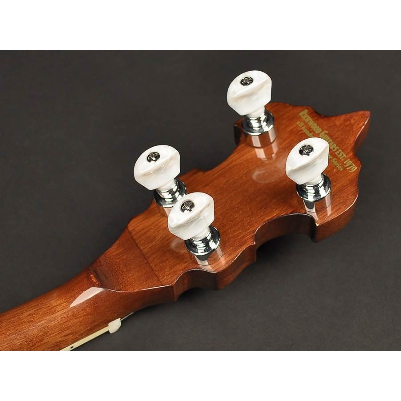 Banjo Bluegrass Richwood de 5 cuerdas 24T