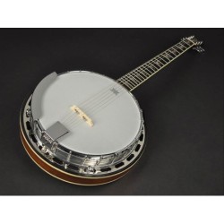 Banjo 6 cuerdas Richwood aluminio-ébano 24T