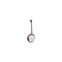 Banjo Bluegrass 5 cuerdas Richwood aluminio 24T