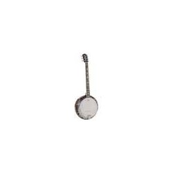 Banjo 6 cuerdas Richwood aluminio-ébano 24T