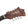 Mandolina est. F Richwood tapa de abeto sunburst