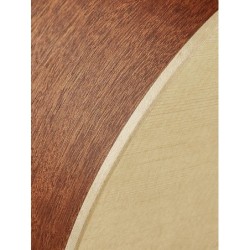 Guit. acú. CE Richwood Songwriter M ARTESANA | MÚSICA BILBAO