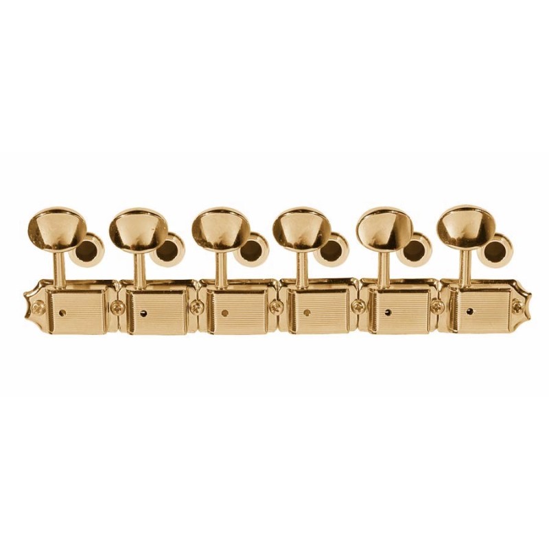 Clavijero Fender Kluson vintage strat/tele dorado | MÚSICA BILBAO