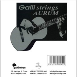 string set classic, gold bronze wound, black nylon