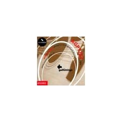 string set acoustic, phosphor bronze wound, light,