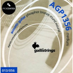 string set acoustic, phosphor bronze wound, medium