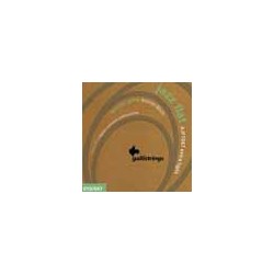 string set acoustic tape wound, extra light, 010-0