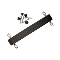 Asa amplificador Fender hueso de perro marrón | MÚSICA BILBAO