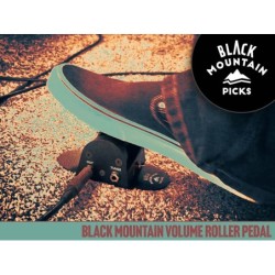 PEDAL DE VOLUMEN RODILLO BLACK MOUNTAIN 500k