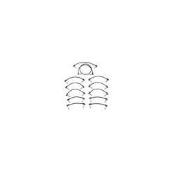 Kit latiguillos Fender blockchain negro medium | MÚSICA BILBAO