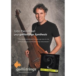 6-string set electric bass, Udo Pannekeet Custom,