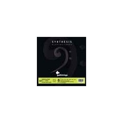 6-string set electric bass, Udo Pannekeet Custom,