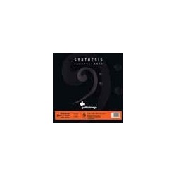 5-string set electric bass, nickel and steel doubl