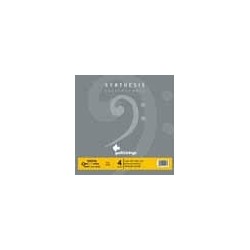 string set electric bass, synthetic and chrome fla