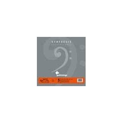 5-string set electric bass, synthetic and chrome f