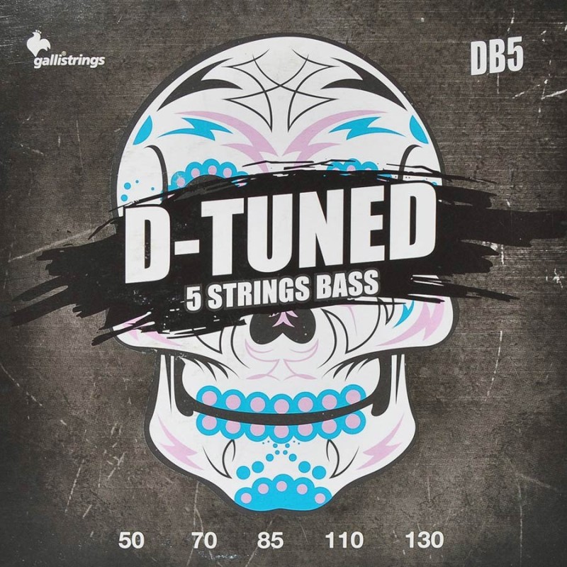 string set electric 5-string bass, drop tuning, ni