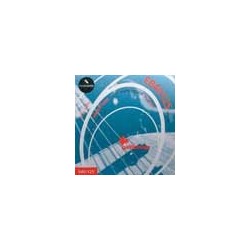 string set electric 5-string bass, nickel roundwou