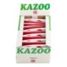 CAJA COMPLETA DE 36 KAZOOS DE PLÁSTICO BM