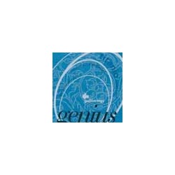 string set classic, hard tension, 028-032-040-030-