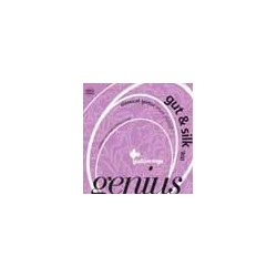 string set classic, normal tension, 025-031-037-03