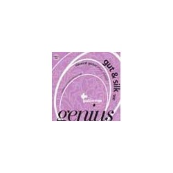 string set classic, light tension, 024-031-037-026