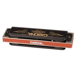 professional blues harmonica in C, incl. case and