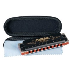 professional blues harmonica in D, incl. case and