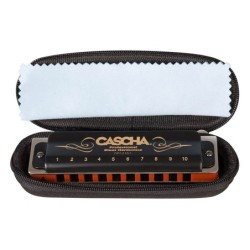 professional blues harmonica in A, incl. case and