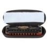professional blues harmonica in A, incl. case and
