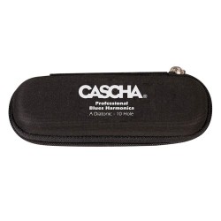 professional blues harmonica in A, incl. case and