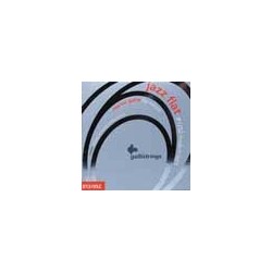 string set electric flat wound, 012-016-022-032-04