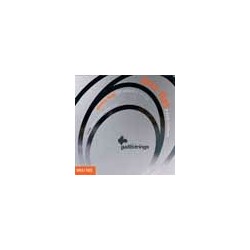 string set electric bass, polished stainless steel