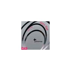 string set electric 5-string bass, polished stainl