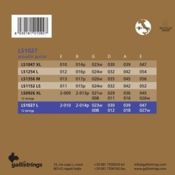 12-string set acoustic phosphor bronze wound, ligh