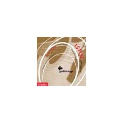 string set acoustic phosphor bronze wound, light s