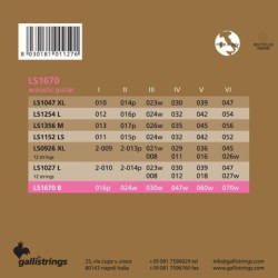 string set acoustic phosphor bronze wound, bariton