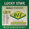 string set bouzouki, phosphor bronze, 011-011-014-