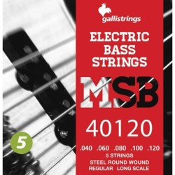 string set electric 5-string bass, steel regular,