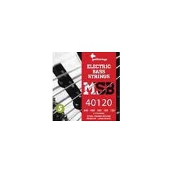 string set electric 5-string bass, steel regular,