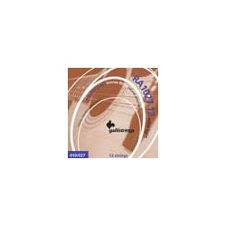 12-string set acoustic 80/20 bronze, light, 2x010-