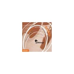 string set acoustic 80/20 bronze wound, extra ligh