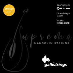 string set mandolin, chrome steel flatwound, light