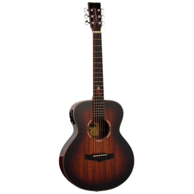 GUITARRA ACÚSTICA TANGLEWOOD TWX1EK