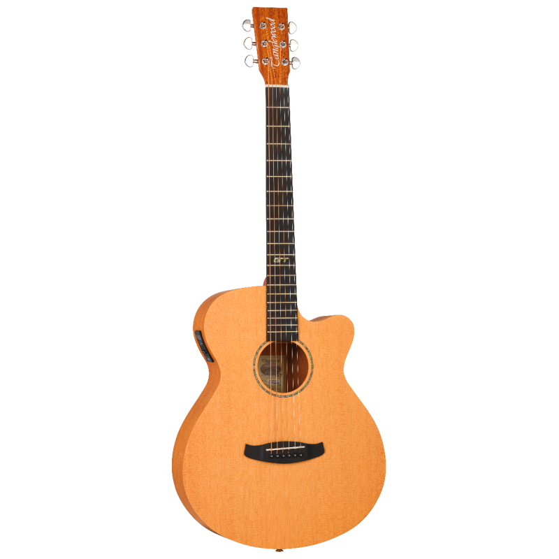 GUITARRA ACÚSTICA TANGLEWOOD SUPER FOLK ROADSTER GT CUTAWAY
